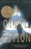 A_civil_action