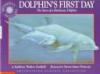 Dolphin_s_first_day