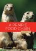 A_prairie_food_chain