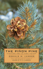 The_pinon_pine