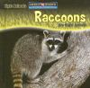 Raccoons_are_night_animals
