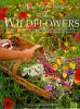 How_to_grow_the_wildflowers