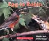 Egg_to_robin