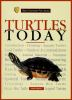 Turtles_today