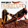 Desert_Life