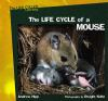 The_life_cycle_of_a_mouse