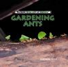 Gardening_Ants
