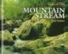 Mountain_stream