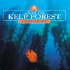 Life_of_the_kelp_forest