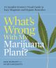 What_s_wrong_with_my_marijuana_plant_