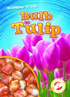 Bulb_to_tulip