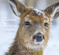Snow_Bunny_the_deer
