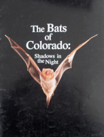 Bats_of_Colorado_Shadows_in_the_Night