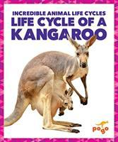 Life_cycle_of_a_kanagroo