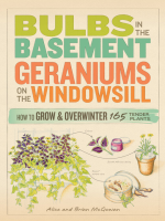 Bulbs_in_the_Basement__Geraniums_on_the_Windowsill