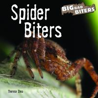 Spider_Biters