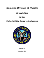 Strategic_plan_for_the_Wetland_Wildlife_Conservation_Program