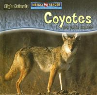Coyotes_are_night_animals