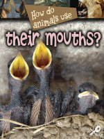 How_Do_Animals_Use_Their_Mouths_