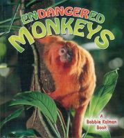 Endangered_monkeys