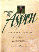 Among_the_aspen