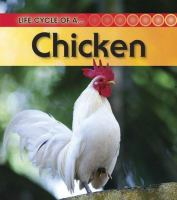 Life_cycle_of_a_chicken