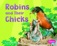 Robins_and_their_chicks