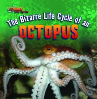The_bizarre_life_cycle_of_an_octopus