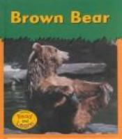 Brown_bear