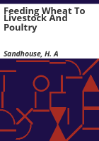 Feeding_wheat_to_livestock_and_poultry