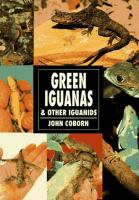 Green_Iguanas