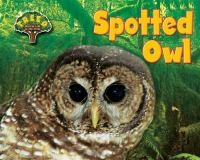 Spotted_owl