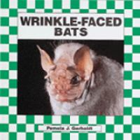 Wrinkle-faced_Bats