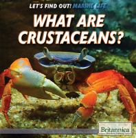 What_are_crustaceans_