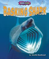 Basking_shark