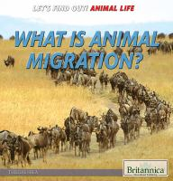 What_is_animal_migration_