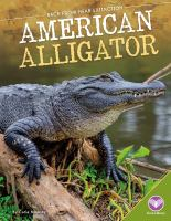 American_alligator