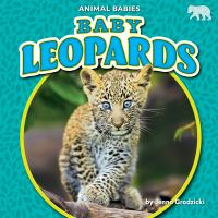 Baby_leopards