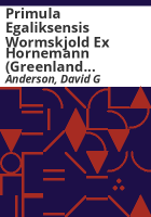 Primula_egaliksensis_Wormskjold_ex_Hornemann__Greenland_primrose_