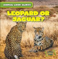 Leopard_or_jaguar_
