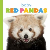 Baby_red_pandas